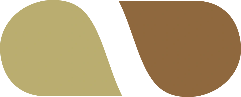 ssm-payroll-solutions-design